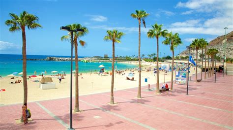 talissa dior las palmas|THE 10 BEST Things to Do in Las Palmas de Gran Canaria .